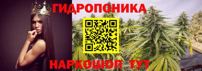 ешки Тверь